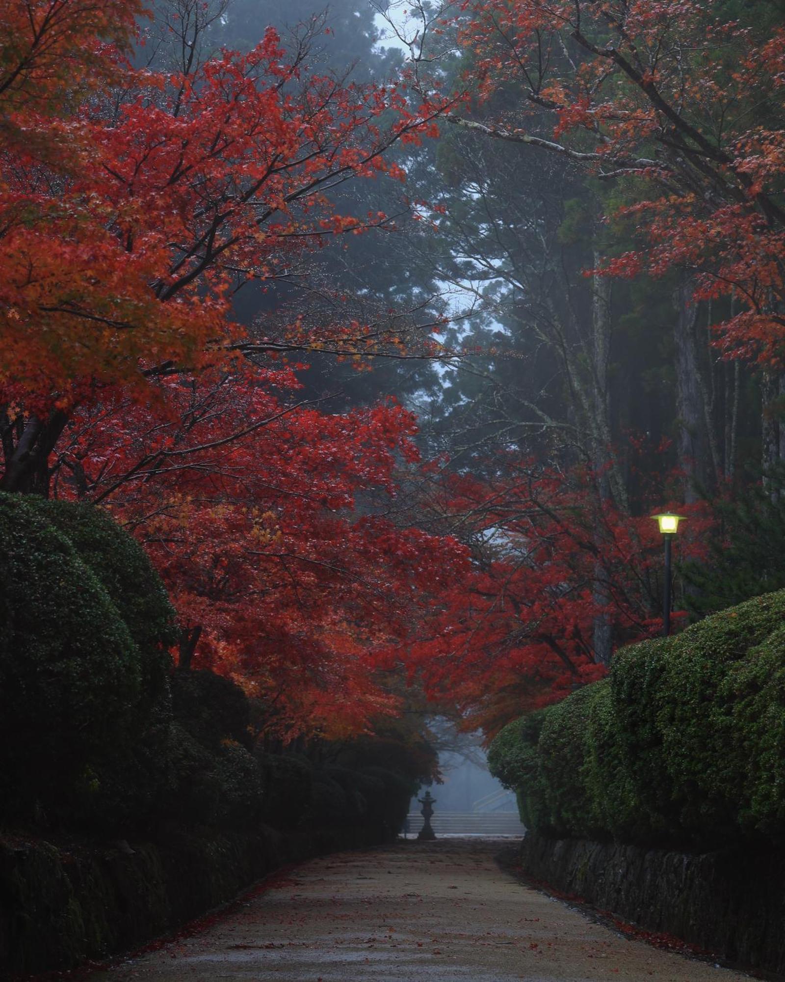 Koyasan Guesthouse Kokuu מראה חיצוני תמונה